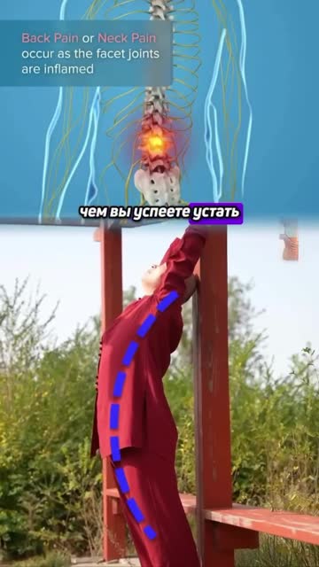 Упражнения за гръбнак